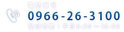 電話番号：0966-26-3100